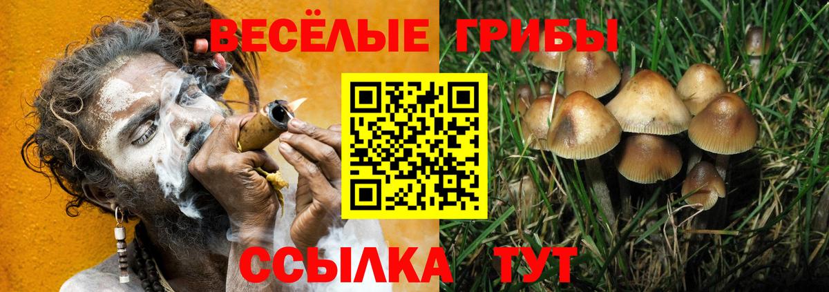 Галлюциногенные грибы ЛСД  Галлюциногенные грибы Magic Shrooms  Вход с VPN  Железноводск 