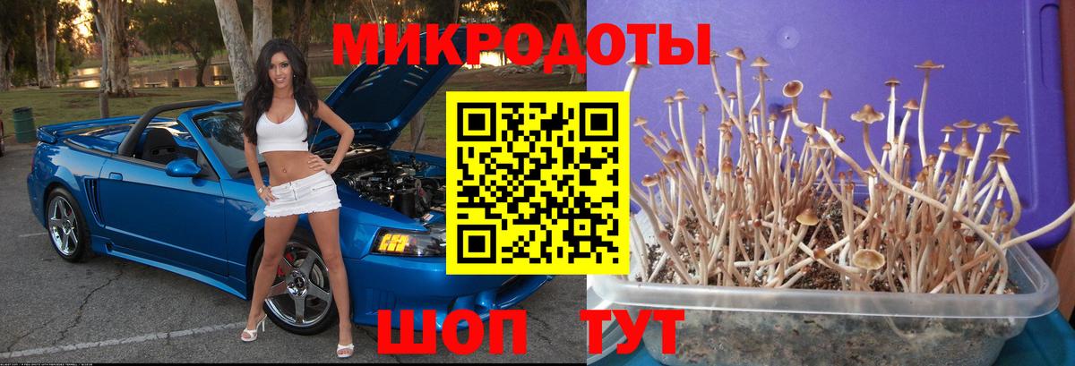 Галлюциногенные грибы мухоморы Железноводск